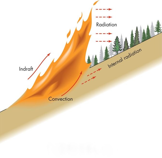 Wildfire behaviour on a slope