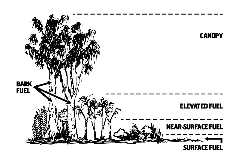 Layers of fuel vegetation